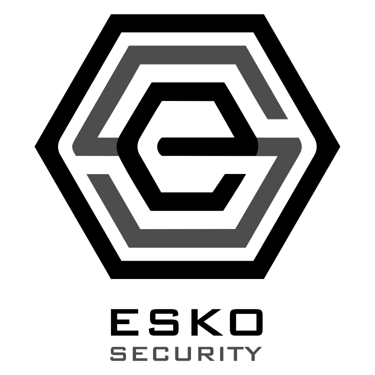 eSecurity Logo